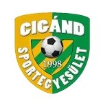 TEAM #9684 logo