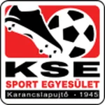 TEAM #9849 logo