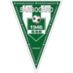 TEAM #9888 logo
